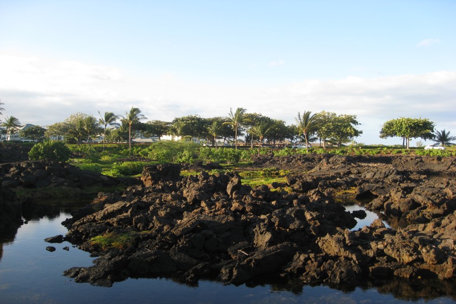 ../image/shoreline near hilton in waikoloa 2.jpg